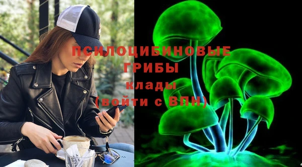 герыч Протвино