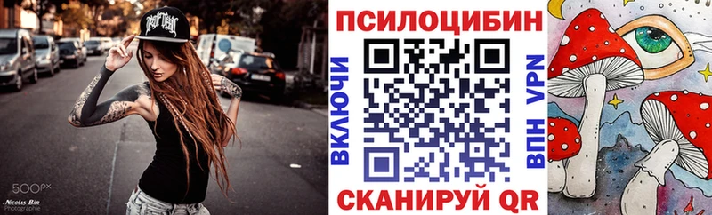 Купить где  Свободный  Галлюциногенные грибы GOLDEN TEACHER 